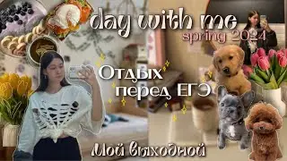 Day with me vlog🌷 весна, отдых старшеклассницы и нежность || chill vlog || zalem