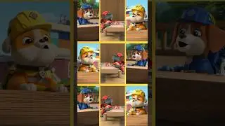 Rubble loves to build all day long! 