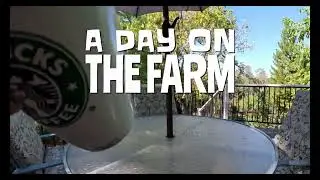 A Day on the Farm with the HERO12 Black (4k edit)