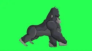 Gorilla Animation Green Matte | Gorilla Green Screen Chroma Key | Sky Fx