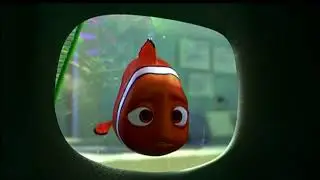 Finding Nemo (2003) Gill Is Sorry