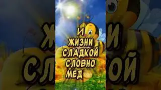 Красивое поздравление С Медовым Спасом🍯