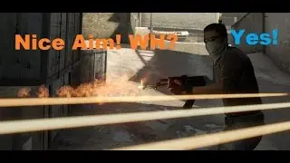 Nice Aim Bro! Wall Hack LVL 1000000