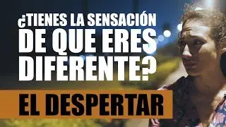 EL DESPERTAR│Cortometraje Para Reflexionar