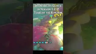 INVINCIBILITY Glitch for Version 1.2.1 in Tears of the Kingdom