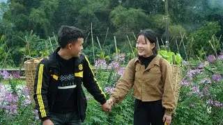 Harvesting vegetables and tomatoes: Enjoy a delicious dish made from rice paper together