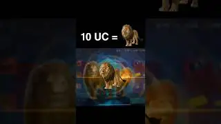 Lion Companion in 10 UC 😱