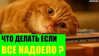 Что делать если все надоело?