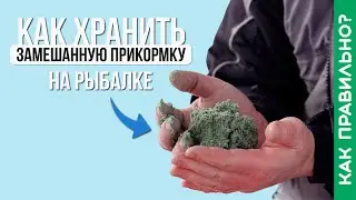 Как хранить замешанную прикормку на рыбалке?