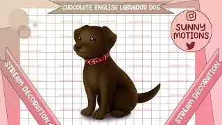 Aesthetic Chocolate English Labrador Dog Stream Decoration Twitch Overlay For OBS Vtubers Streamlabs