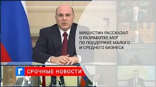 Мишустин рассказал о разработке мер по поддержке малого и среднего бизнеса