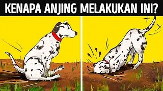 Arti Sesungguhnya di Balik 19 Perilaku Aneh Anjing