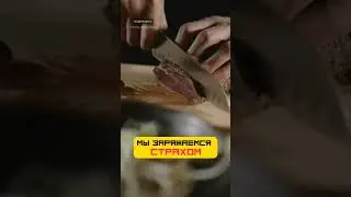 Мы способны жить не убивая животных ❤️