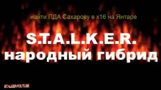 Сталкер народный гибрид, где искать ПДА Васильева для Сахарова в х16 на Янтаре