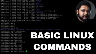 Basic Linux Commands You Need to Know