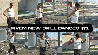 Fivem/GTAV New Dance Animations (Sturdy, Pop Smoke, Drill, Woo) DPEMOTES