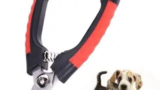 5 недорогих когтерезов для питомца из AliExpress