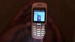 Sony Ericsson J220i Internet