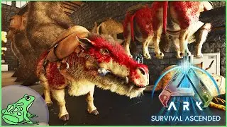 Day 43 - Mutations? -  Ark Survival Ascended - ASA LIVE