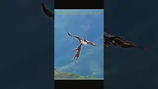 Bald eagle vs golden eagle 