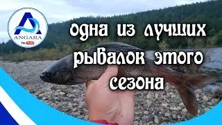 Крупный хариус. Одна из лучших рыбалок этого сезона.