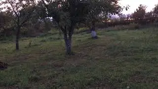 ЛЮБУЮ БОЛЕЗНЬ МОЖНО ПОБЕДИТЬ. ЦЕЛИТЕЛЬ СВЕТЛАНА ЮРЬЕВНА