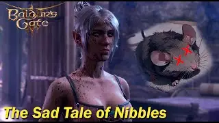What Happened to Shadowheart's Pet Mouse in Baldur's Gate 3