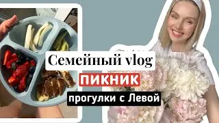 семейный vlog