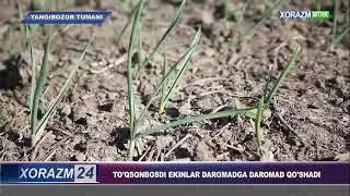 🌱“Мохинур Гузалой” фермер хўжалигининг 4,5 гектар боғ қатор ораларига тўқсонбости экинлари экилди