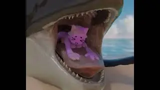 Orca gulp (っ˘ڡ˘ς)