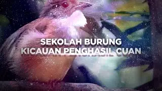 Berani Berubah: Membuka Lapangan Pekerjaan dari Sekolah Burung Murai