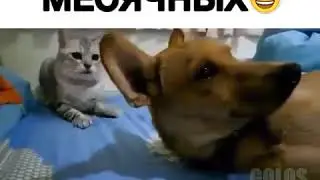Девушки во время месячных