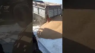 С голоду не пропадем!!!!