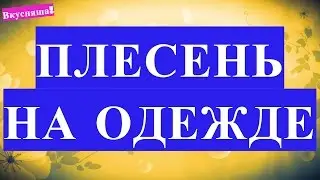 Как ОТСТИРАТЬ ПЛЕСЕНЬ с одежды. Убрать, постирать и удалить плесень на одежде. Быстро вывести пятна