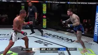 Лучшие моменты турнира UFC Вегас 97