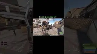 #раст
