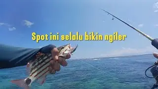 Mancing di karang dangkal yang selalu bikin ngiler || Ultraligh Casting