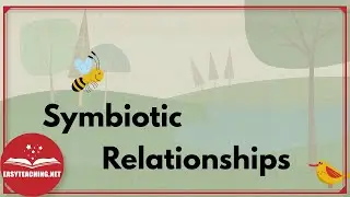 Symbiotic Relationships: Mutualism, Parasitism & Commensalism | EasyTeaching