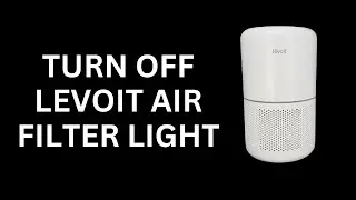 How To Turn Off Levoit Filter Light (Reset Air Filter Light)