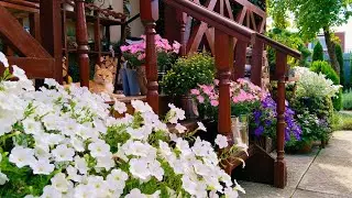 Уютный День🏠 Всё Идёт Своим Чередом🌸🍎🍎Варенье из Яблок Дольками #дом #garden #петуния #варенье