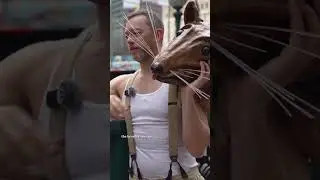 The humans (& rats) of New York