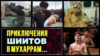Шиитский лев, танцы, рэп, каскадёрство. Неужели это Ислам?! | Время покаяния