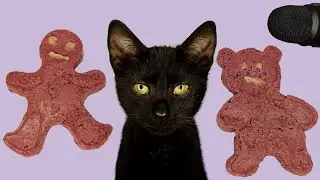 Cat ASMR Eating Shaped Food