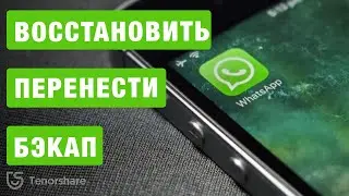 Как сделать резервную копию WhatsApp и восстановить переписку  с помощью iCareFone for WhatsApp