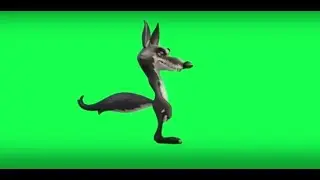 3D animation of the wolf cartoon character on the green screen talking and moving in Chroma Key