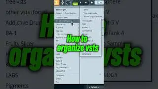 How To Organize VSTS & PLUGINS In FL STUDIO 2024  #flstudio