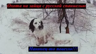 Охота на зайца 13 12 2021 Наконец-то повезло Добыл беляка