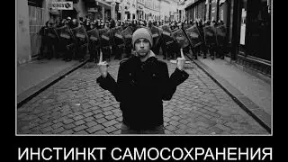 Документальній фильм. Что такое Инстинкт самосохранения. Теория невероятности