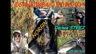 Обрыбливаю новинки. Вейдерсы NORFIN и катушка Daiwa Steez CT SV TW. Почему выбрал их???