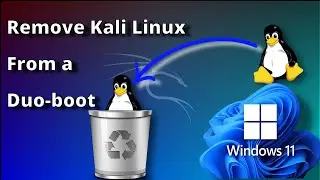 How to Remove Kali Linux from duo boot - Avoid Grub Error